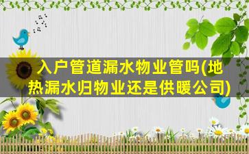 入户管道漏水物业管吗(地热漏水归物业还是供暖公司)