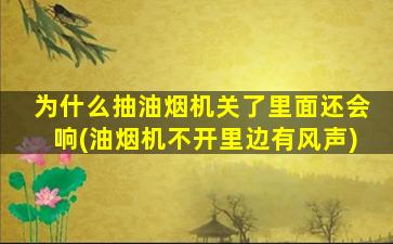 为什么抽油烟机关了里面还会响(油烟机不开里边有风声)