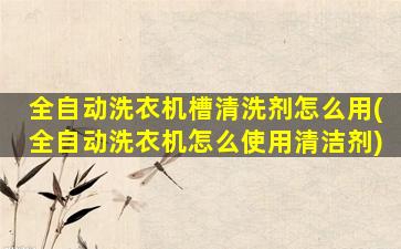 全自动洗衣机槽清洗剂怎么用(全自动洗衣机怎么使用清洁剂)