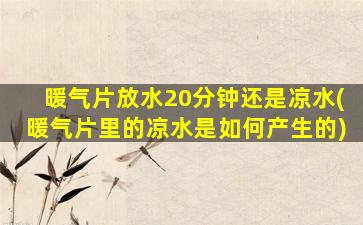 暖气片放水20分钟还是凉水(暖气片里的凉水是如何产生的)