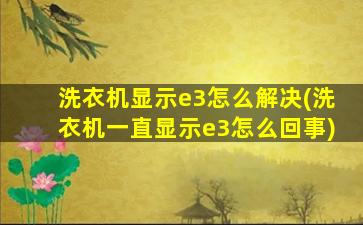 洗衣机显示e3怎么解决(洗衣机一直显示e3怎么回事)