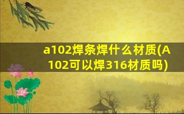 a102焊条焊什么材质(A102可以焊316材质吗)