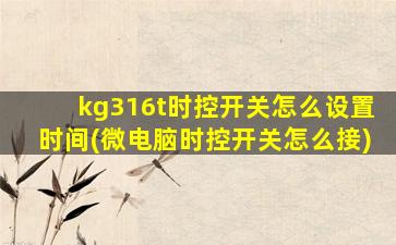 kg316t时控开关怎么设置时间(微电脑时控开关怎么接)