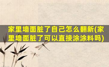 家里墙面脏了自己怎么翻新(家里墙面脏了可以直接涂涂料吗)