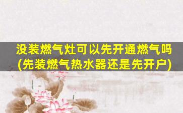 没装燃气灶可以先开通燃气吗(先装燃气热水器还是先开户)