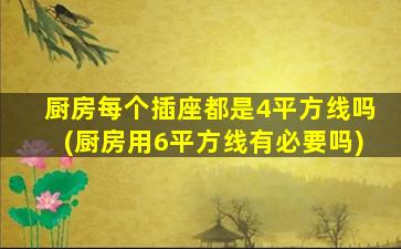 厨房每个插座都是4平方线吗(厨房用6平方线有必要吗)