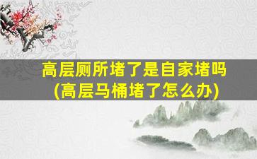 高层厕所堵了是自家堵吗(高层马桶堵了怎么办)