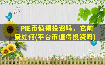 PIE币值得投资吗，它前景如何(平台币值得投资吗)