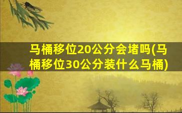 马桶移位20公分会堵吗(马桶移位30公分装什么马桶)