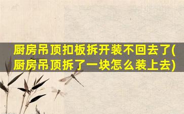 厨房吊顶扣板拆开装不回去了(厨房吊顶拆了一块怎么装上去)