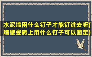 水泥墙用什么钉子才能钉进去呀(墙壁瓷砖上用什么钉子可以固定)