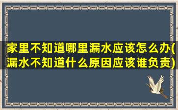 家里不知道哪里漏水应该怎么办(漏水不知道什么原因应该谁负责)