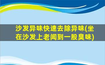 沙发异味快速去除异味(坐在沙发上老闻到一股臭味)