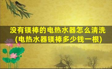 没有镁棒的电热水器怎么清洗(电热水器镁棒多少钱一根)