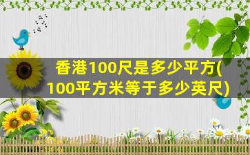 香港100尺是多少平方(100平方米等于多少英尺)
