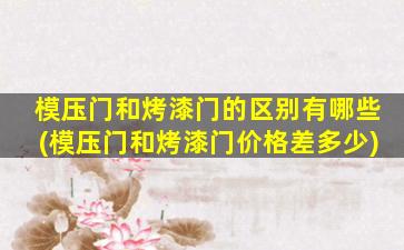 模压门和烤漆门的区别有哪些(模压门和烤漆门价格差多少)
