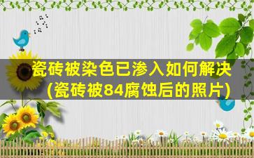 瓷砖被染色已渗入如何解决(瓷砖被84腐蚀后的照片)