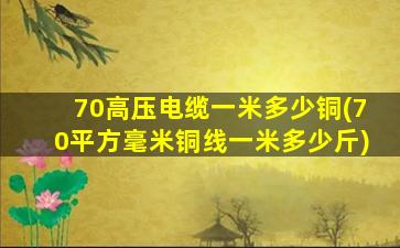 70高压电缆一米多少铜(70平方毫米铜线一米多少斤)