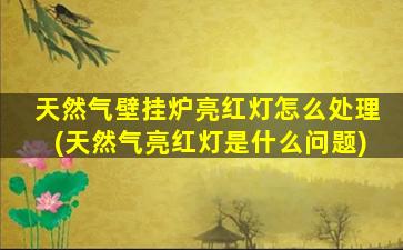 天然气壁挂炉亮红灯怎么处理(天然气亮红灯是什么问题)