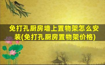免打孔厨房墙上置物架怎么安装(免打孔厨房置物架价格)
