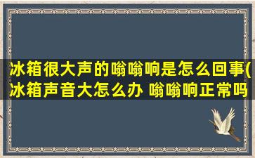 冰箱很大声的嗡嗡响是怎么回事(冰箱声音大怎么办 嗡嗡响正常吗)