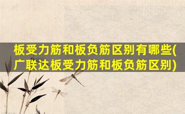 板受力筋和板负筋区别有哪些(广联达板受力筋和板负筋区别)