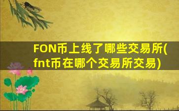FON币上线了哪些交易所(fnt币在哪个交易所交易)