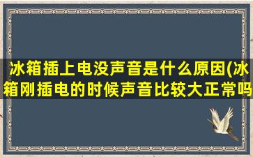 冰箱插上电没声音是什么原因(冰箱刚插电的时候声音比较大正常吗)