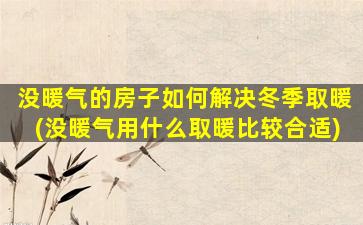 没暖气的房子如何解决冬季取暖(没暖气用什么取暖比较合适)