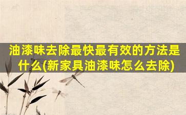 油漆味去除最快最有效的方法是什么(新家具油漆味怎么去除)