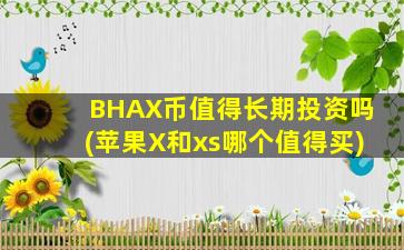 BHAX币值得长期投资吗(苹果X和xs哪个值得买)