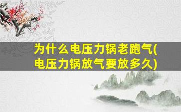 为什么电压力锅老跑气(电压力锅放气要放多久)
