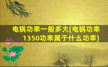 电锅功率一般多大(电锅功率1350功率属于什么功率)