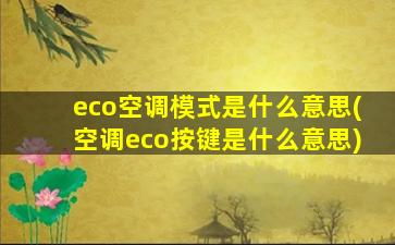 eco空调模式是什么意思(空调eco按键是什么意思)