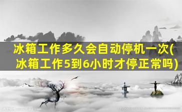 冰箱工作多久会自动停机一次(冰箱工作5到6小时才停正常吗)