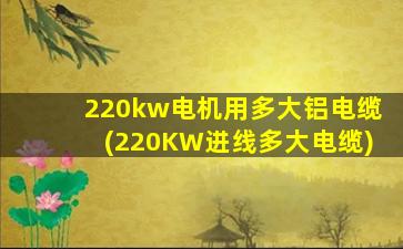 220kw电机用多大铝电缆(220KW进线多大电缆)