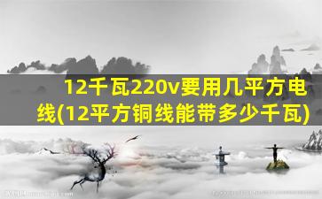 12千瓦220v要用几平方电线(12平方铜线能带多少千瓦)
