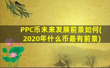 PPC币未来发展前景如何(2020年什么币最有前景)