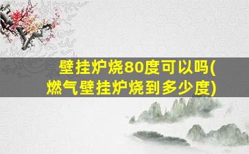 壁挂炉烧80度可以吗(燃气壁挂炉烧到多少度)