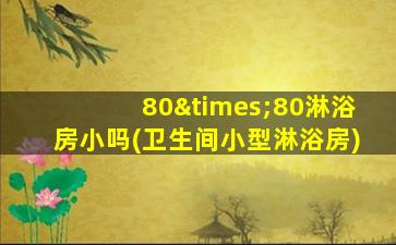 80×80淋浴房小吗(卫生间小型淋浴房)