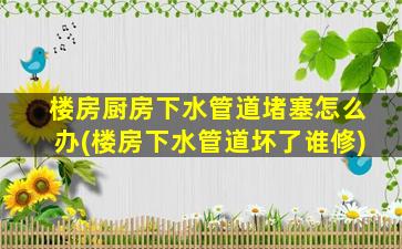 楼房厨房下水管道堵塞怎么办(楼房下水管道坏了谁修)
