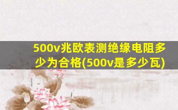 500v兆欧表测绝缘电阻多少为合格(500v是多少瓦)