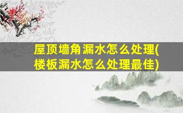 屋顶墙角漏水怎么处理(楼板漏水怎么处理最佳)