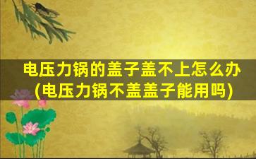 电压力锅的盖子盖不上怎么办(电压力锅不盖盖子能用吗)