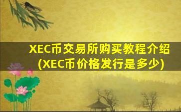 XEC币交易所购买教程介绍(XEC币价格发行是多少)