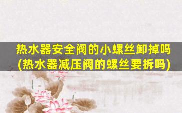 热水器安全阀的小螺丝卸掉吗(热水器减压阀的螺丝要拆吗)