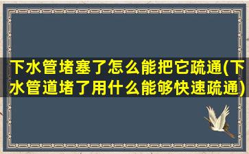 下水管堵塞了怎么能把它疏通(下水管道堵了用什么能够快速疏通)
