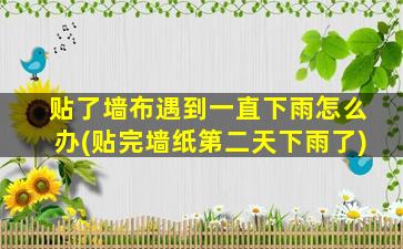 贴了墙布遇到一直下雨怎么办(贴完墙纸第二天下雨了)