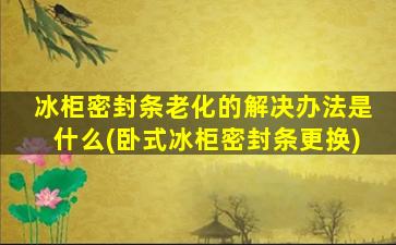 冰柜密封条老化的解决办法是什么(卧式冰柜密封条更换)