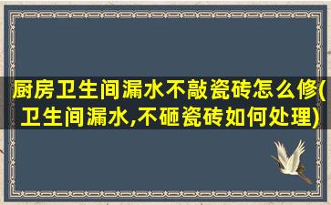 厨房卫生间漏水不敲瓷砖怎么修(卫生间漏水,不砸瓷砖如何处理)